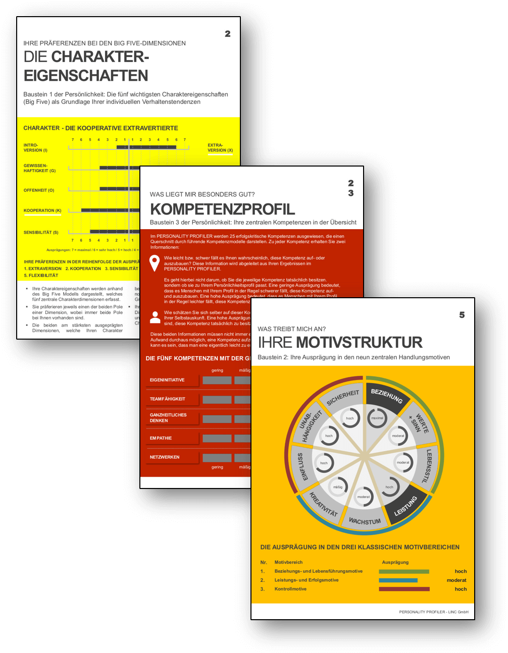 LINC Personality Profiler Kompetenz