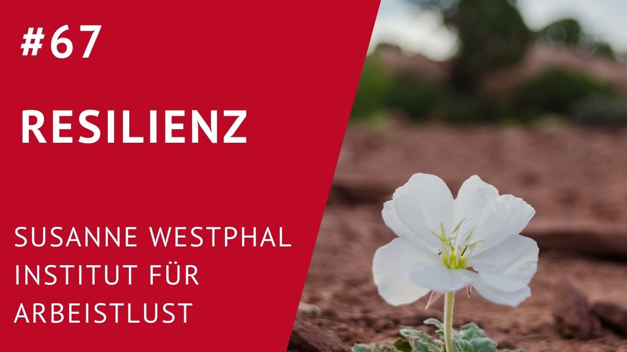 Resilienz mit Susanne Westphal