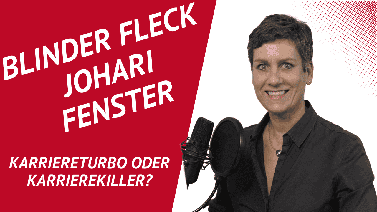 Blinder Fleck Johari Fenster